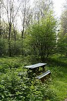 20090424 361 400x600