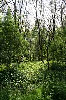 20090424 373 400x600