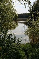20090424 387 400x600