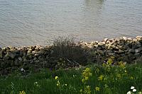 20090424 407 800x533