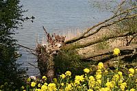 20090424 417 800x533