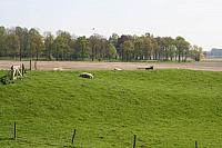 20090424 423 800x533