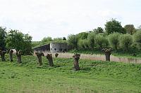 20090424 93 800x533