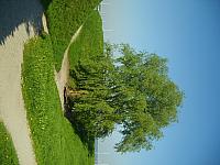 S6000067 600x450