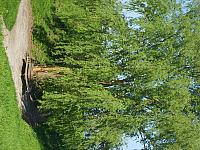 S6000068 600x450