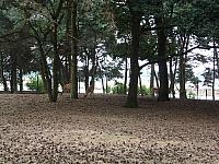 IMGP4860 800x600
