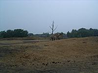 IMGP4875 800x600