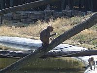 IMGP4889 800x600