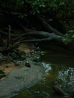 S6000010 450x600