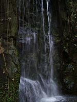S6000016 450x600