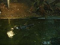 S6000034 800x600