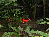 S6000038 800x600