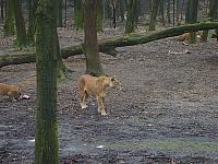 S6000062 800x600