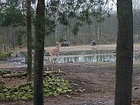 S6000074 800x600