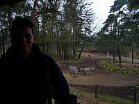S6000086 800x600