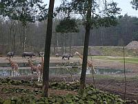 S6000095 800x600