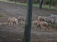 S6000109 800x600