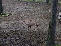 S6000111 800x600