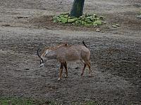S6000113 800x600