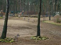 S6000123 800x600