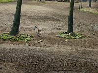 S6000125 800x600