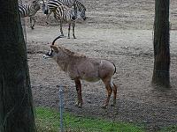 S6000132 800x600