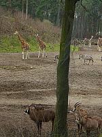 S6000139 450x600