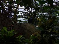 S6000160 800x600