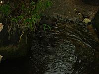 S6000212 800x600