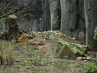 S6000220 800x600