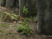 S6000221 800x600