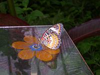 S6000011 800x600