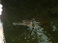 S6000044 800x600