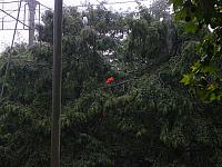 S6000056 800x600