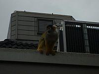 S6000134 800x600