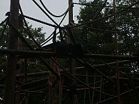 S6000138 800x600