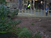 S6000026 800x600