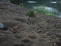 S6000034 800x600