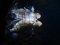 S6000057 800x600
