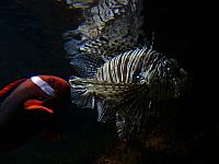 S6000058 800x600