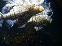 S6000061 800x600