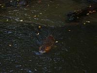 S6000090 800x600
