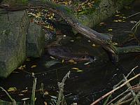 S6000092 800x600