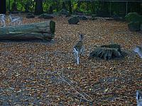 S6000181 800x600