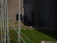 S6000198 800x600