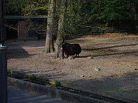 S6000200 800x600