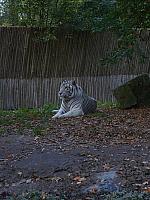 S6000225 800x600