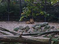 S6000285 800x600