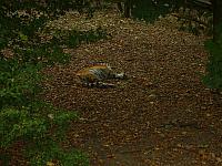 S6000293 800x600