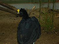 S6000009 800x600